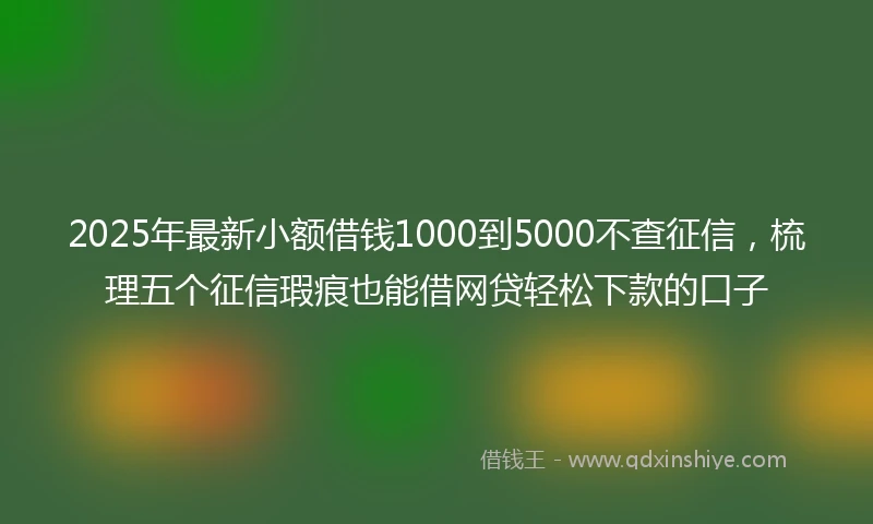 2025年最新小额借钱1000到5000不查征信，梳理五个征信瑕疵也能借网贷轻松下款的口子