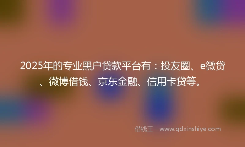 2025年的专业黑户贷款平台有：投友圈、e微贷、微博借钱、京东金融、信用卡贷等。