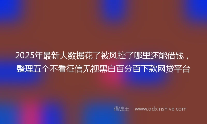 2025年最新大数据花了被风控了哪里还能借钱,整理五个不看征信无视黑白百分百下款网贷平台