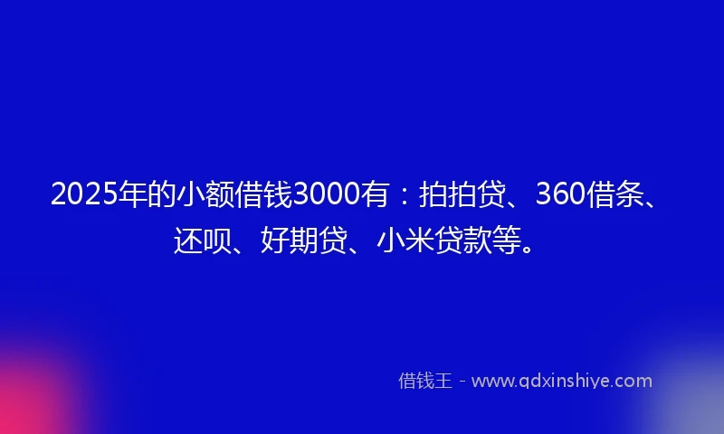 2025年的小额借钱3000有：拍拍贷、360借条、还呗、好期贷、小米贷款等。