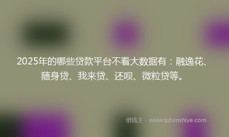 2025年的哪些贷款平台不看大数据有：融逸花、随身贷、我来贷、还呗、微粒贷等。