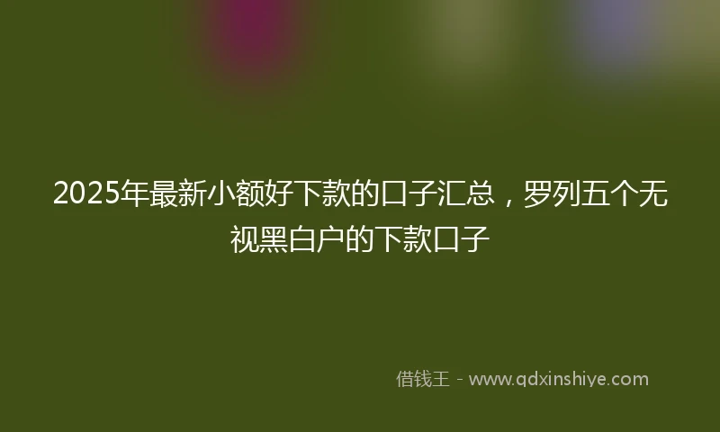 2025年最新小额好下款的口子汇总，罗列五个无视黑白户的下款口子