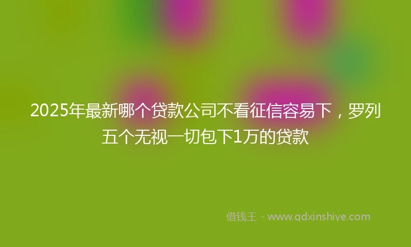 2025年最新哪个贷款公司不看征信容易下，罗列五个无视一切包下1万的贷款