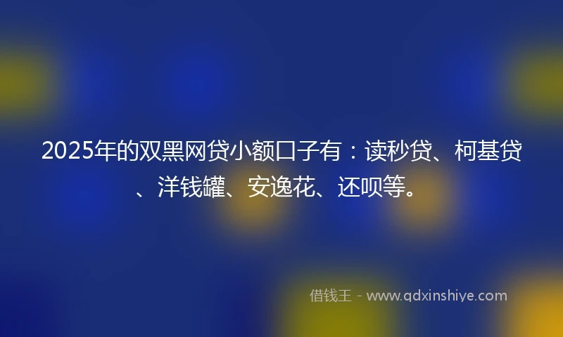 2025年的双黑网贷小额口子有：读秒贷、柯基贷、洋钱罐、安逸花、还呗等。
