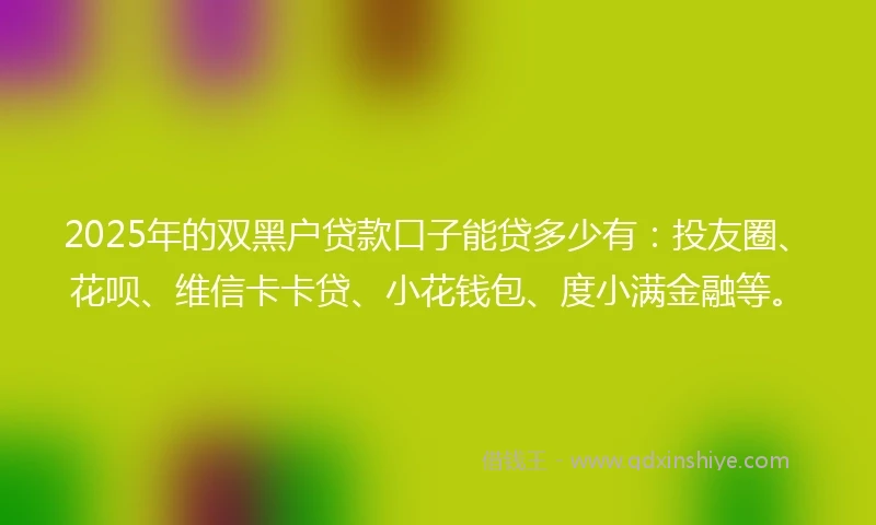 2025年的双黑户贷款口子能贷多少有：投友圈、花呗、维信卡卡贷、小花钱包、度小满金融等。