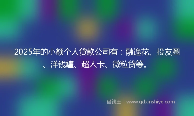 2025年的小额个人贷款公司有：融逸花、投友圈、洋钱罐、超人卡、微粒贷等。