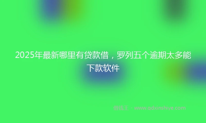 2025年最新哪里有贷款借，罗列五个逾期太多能下款软件