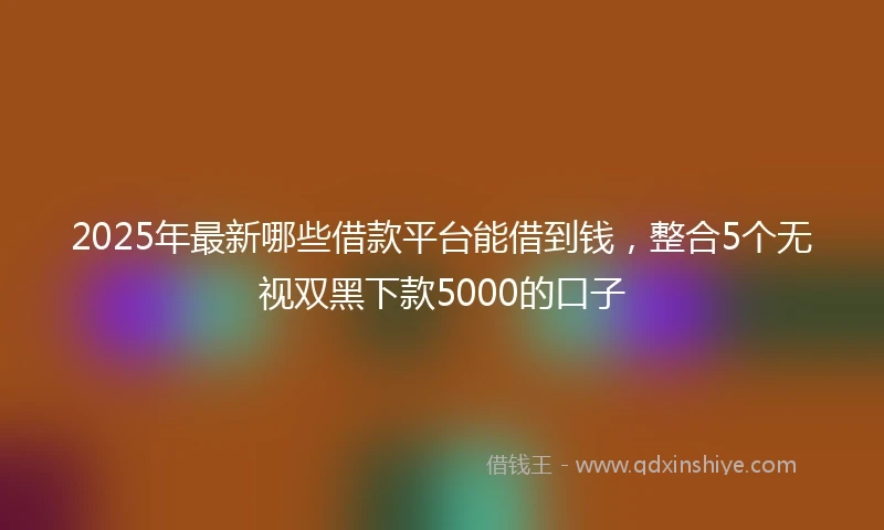 2025年最新哪些借款平台能借到钱，整合5个无视双黑下款5000的口子