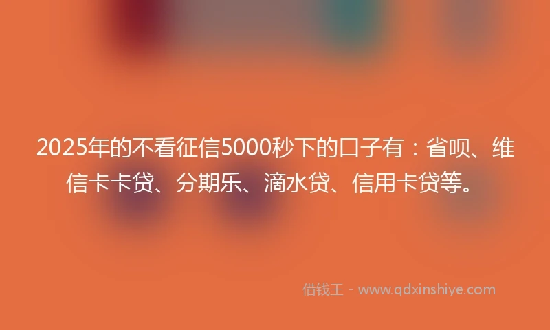 2025年的不看征信5000秒下的口子有：省呗、维信卡卡贷、分期乐、滴水贷、信用卡贷等。