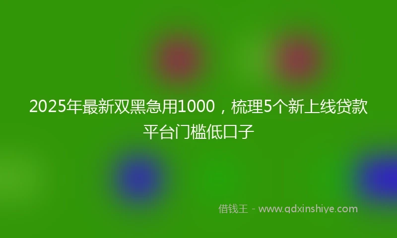 2025年最新双黑急用1000，梳理5个新上线贷款平台门槛低口子