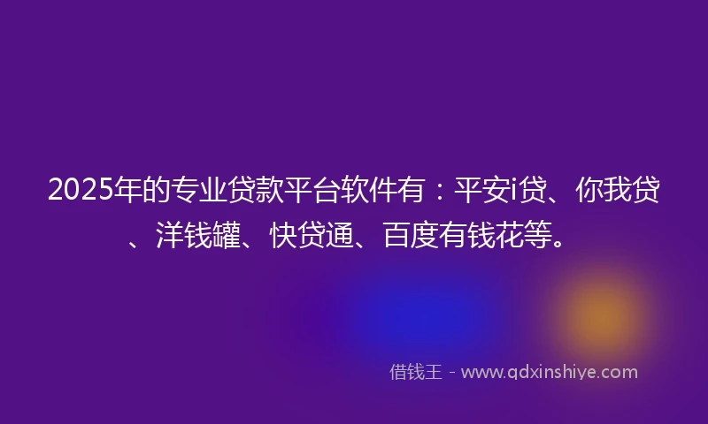 2025年的专业贷款平台软件有：平安i贷、你我贷、洋钱罐、快贷通、百度有钱花等。