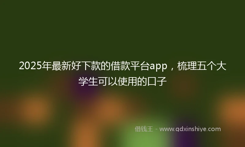 2025年最新好下款的借款平台app，梳理五个大学生可以使用的口子