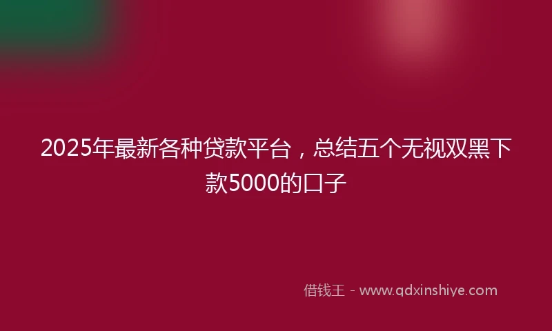 2025年最新各种贷款平台，总结五个无视双黑下款5000的口子