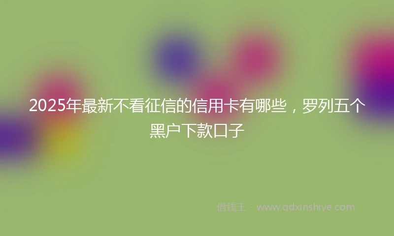 2025年最新不看征信的信用卡有哪些，罗列五个黑户下款口子
