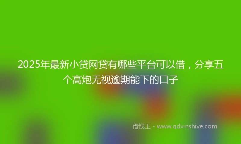 2025年最新小贷网贷有哪些平台可以借，分享五个高炮无视逾期能下的口子