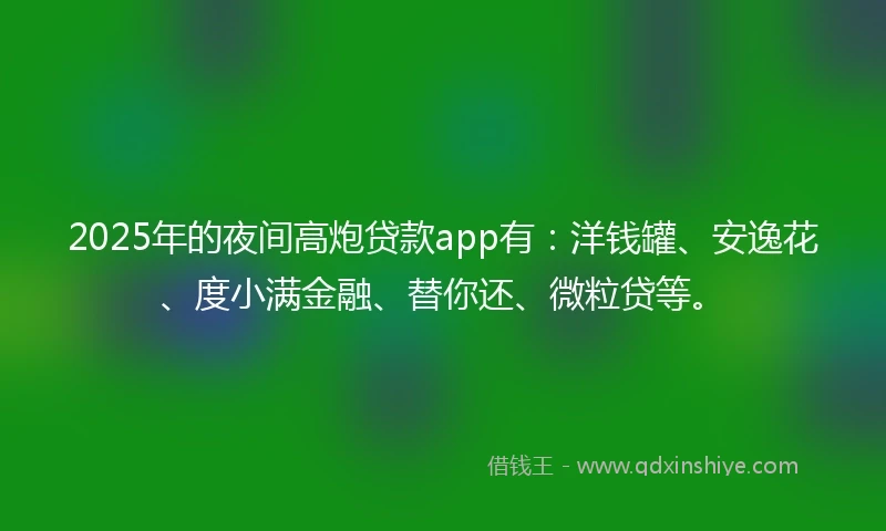 2025年的夜间高炮贷款app有：洋钱罐、安逸花、度小满金融、替你还、微粒贷等。