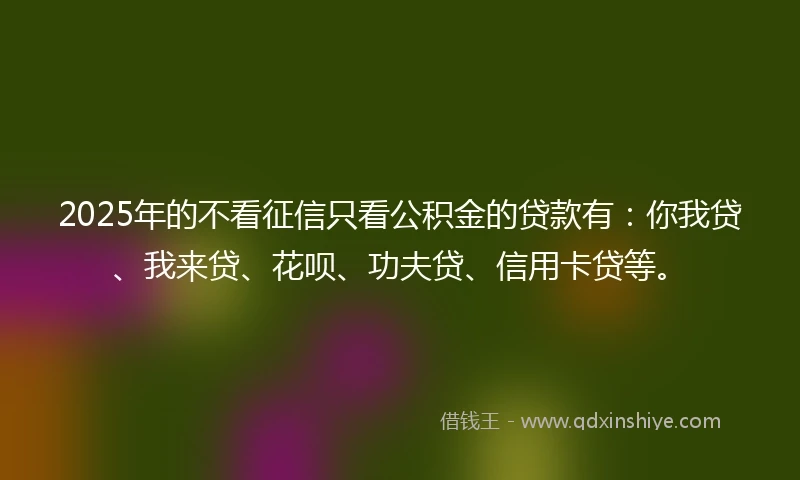 2025年的不看征信只看公积金的贷款有：你我贷、我来贷、花呗、功夫贷、信用卡贷等。