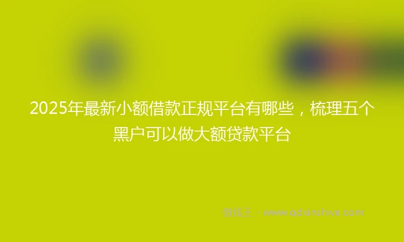 2025年最新小额借款正规平台有哪些，梳理五个黑户可以做大额贷款平台