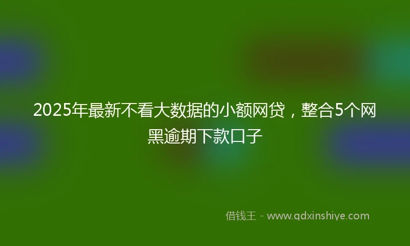 2025年最新不看大数据的小额网贷，整合5个网黑逾期下款口子