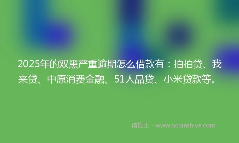 2025年的双黑严重逾期怎么借款有：拍拍贷、我来贷、中原消费金融、51人品贷、小米贷款等。