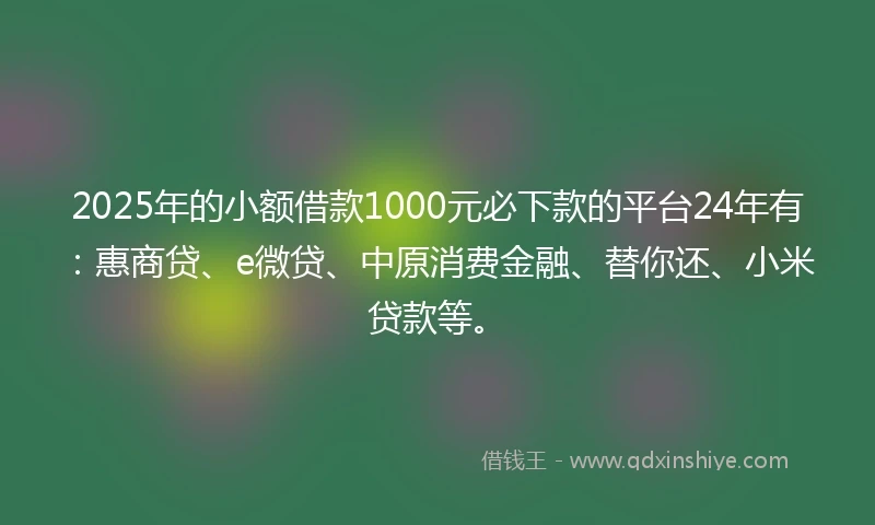 2025年的小额借款1000元必下款的平台24年有：惠商贷、e微贷、中原消费金融、替你还、小米贷款等。