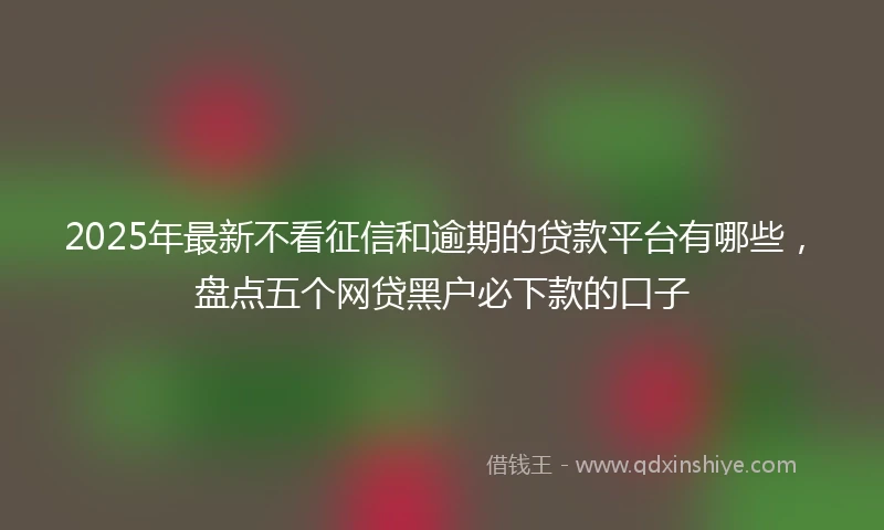 2025年最新不看征信和逾期的贷款平台有哪些，盘点五个网贷黑户必下款的口子