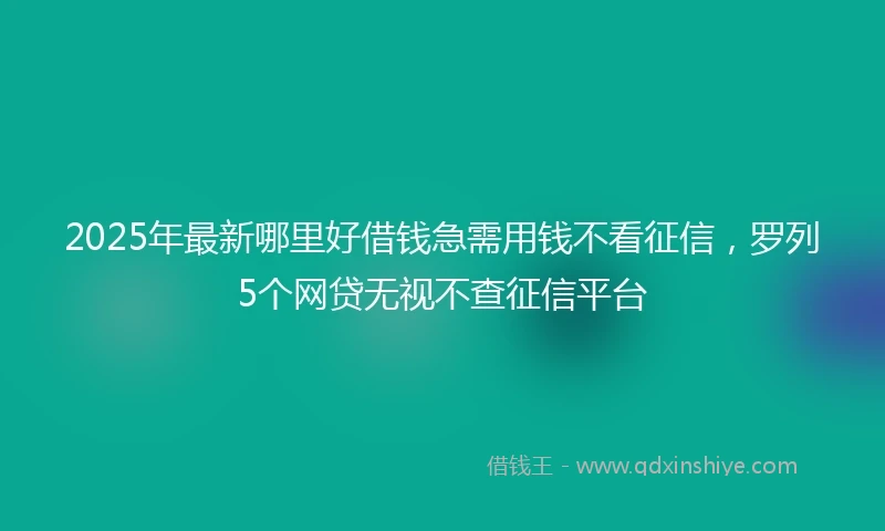 2025年最新哪里好借钱急需用钱不看征信，罗列5个网贷无视不查征信平台