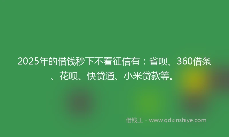 2025年的借钱秒下不看征信有：省呗、360借条、花呗、快贷通、小米贷款等。