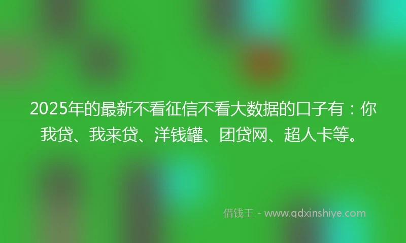 2025年的最新不看征信不看大数据的口子有：你我贷、我来贷、洋钱罐、团贷网、超人卡等。