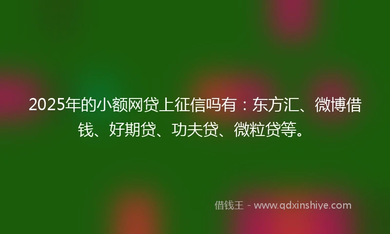 2025年的小额网贷上征信吗有：东方汇、微博借钱、好期贷、功夫贷、微粒贷等。