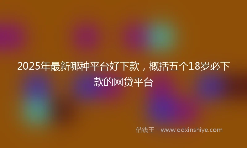 2025年最新哪种平台好下款,概括五个18岁必下款的网贷平台