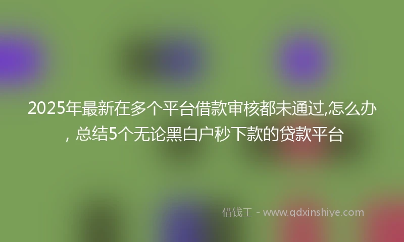 2025年最新在多个平台借款审核都未通过,怎么办，总结5个无论黑白户秒下款的贷款平台