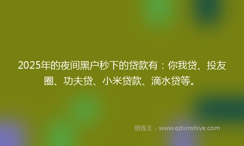 2025年的夜间黑户秒下的贷款有：你我贷、投友圈、功夫贷、小米贷款、滴水贷等。