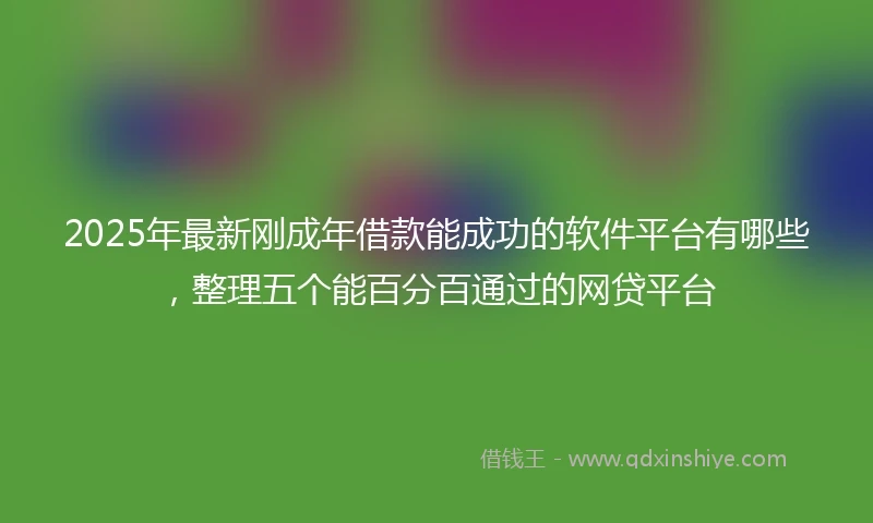 2025年最新刚成年借款能成功的软件平台有哪些，整理五个能百分百通过的网贷平台