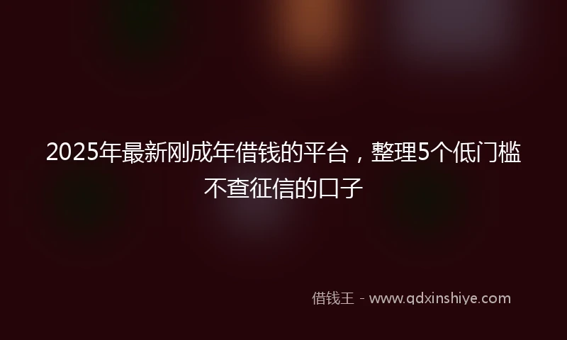 2025年最新刚成年借钱的平台，整理5个低门槛不查征信的口子