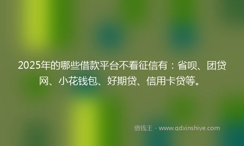 2025年的哪些借款平台不看征信有：省呗、团贷网、小花钱包、好期贷、信用卡贷等。