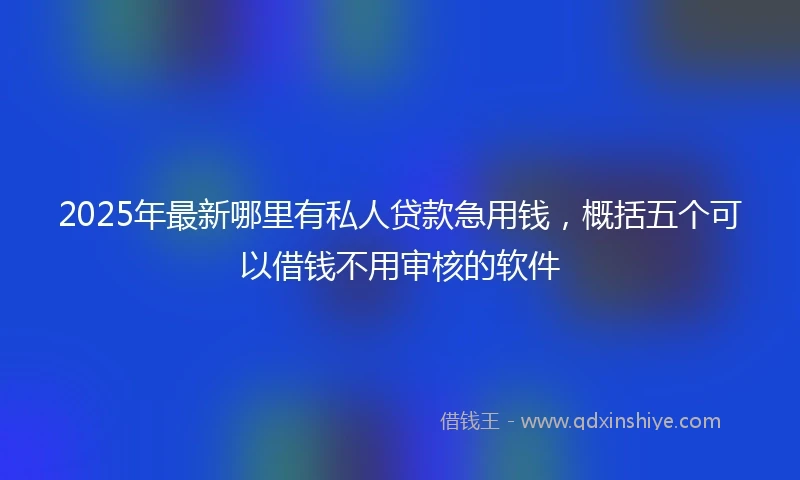 2025年最新哪里有私人贷款急用钱，概括五个可以借钱不用审核的软件