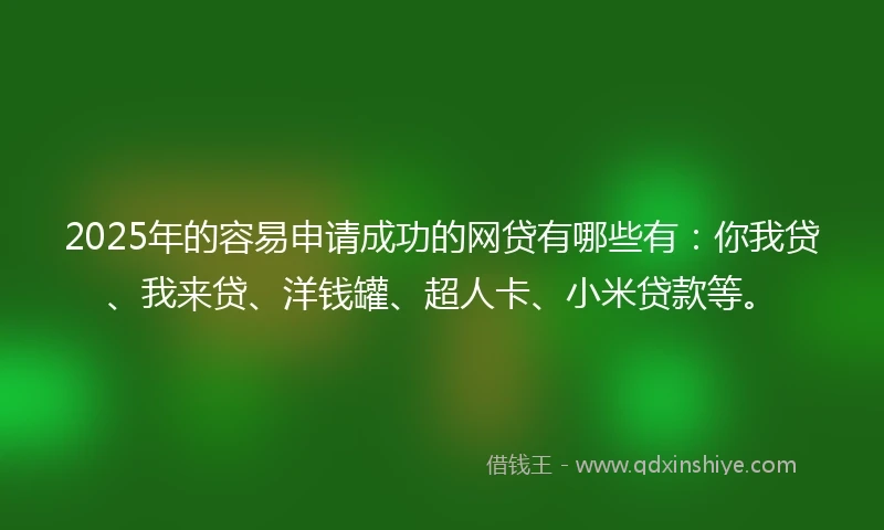 2025年的容易申请成功的网贷有哪些有：你我贷、我来贷、洋钱罐、超人卡、小米贷款等。