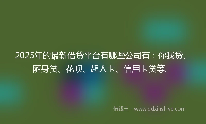 2025年的最新借贷平台有哪些公司有：你我贷、随身贷、花呗、超人卡、信用卡贷等。