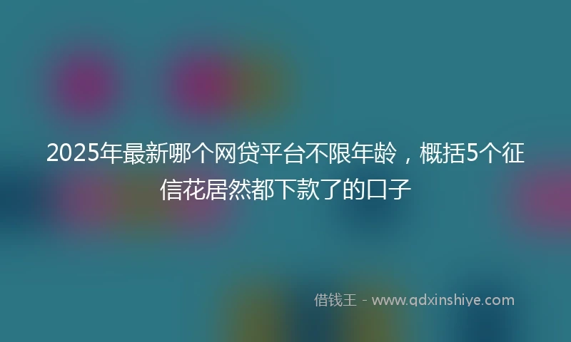 2025年最新哪个网贷平台不限年龄，概括5个征信花居然都下款了的口子