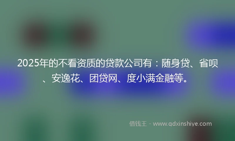2025年的不看资质的贷款公司有：随身贷、省呗、安逸花、团贷网、度小满金融等。