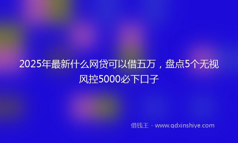 2025年最新什么网贷可以借五万，盘点5个无视风控5000必下口子