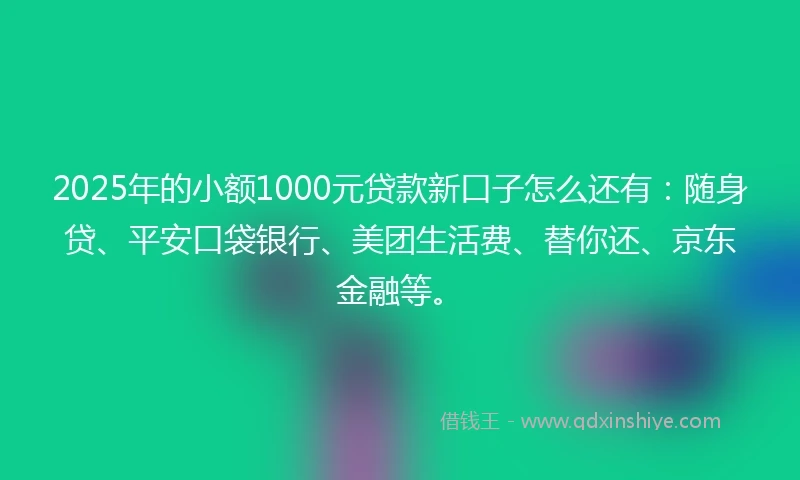 2025年的小额1000元贷款新口子怎么还有：随身贷、平安口袋银行、美团生活费、替你还、京东金融等。