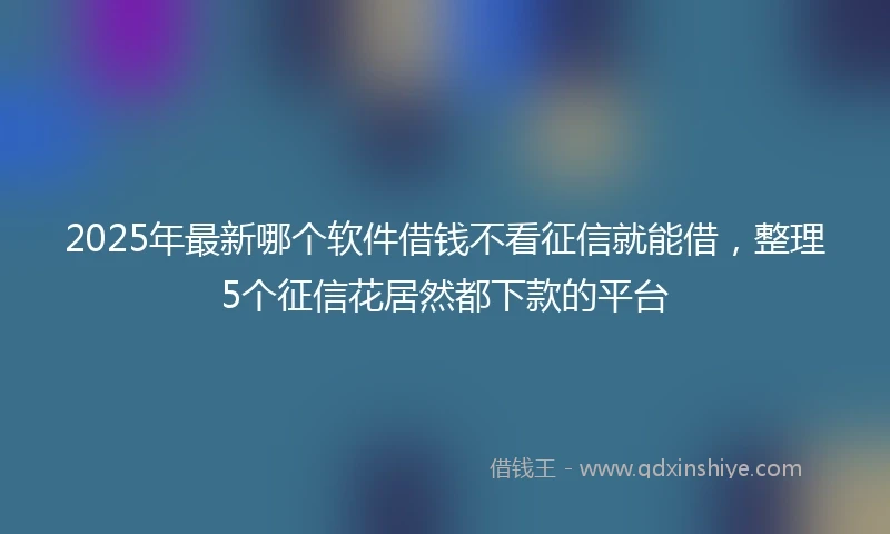 2025年最新哪个软件借钱不看征信就能借，整理5个征信花居然都下款的平台