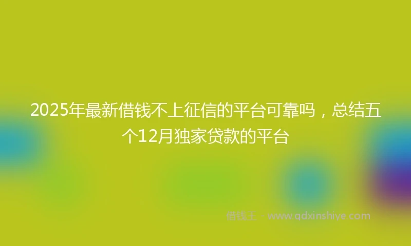 2025年最新借钱不上征信的平台可靠吗，总结五个12月独家贷款的平台
