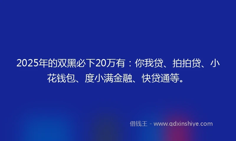 2025年的双黑必下20万有：你我贷、拍拍贷、小花钱包、度小满金融、快贷通等。