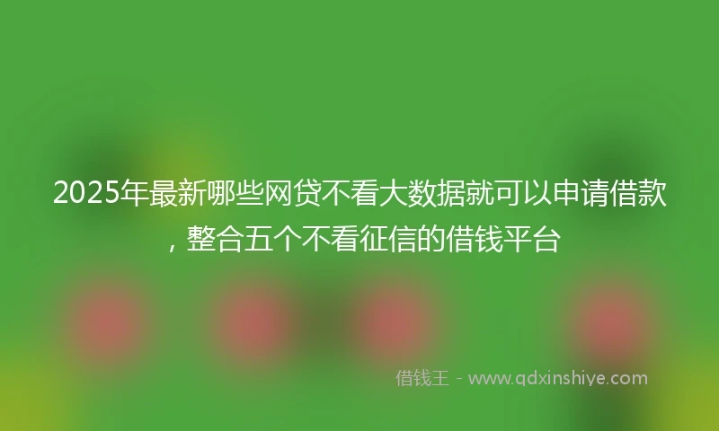 2025年最新哪些网贷不看大数据就可以申请借款，整合五个不看征信的借钱平台