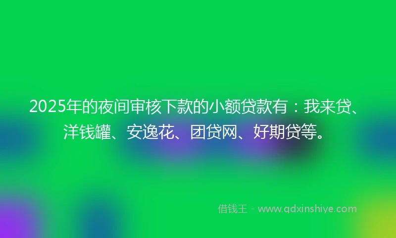 2025年的夜间审核下款的小额贷款有：我来贷、洋钱罐、安逸花、团贷网、好期贷等。