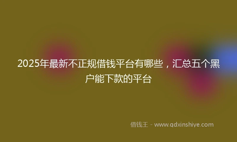 2025年最新不正规借钱平台有哪些，汇总五个黑户能下款的平台