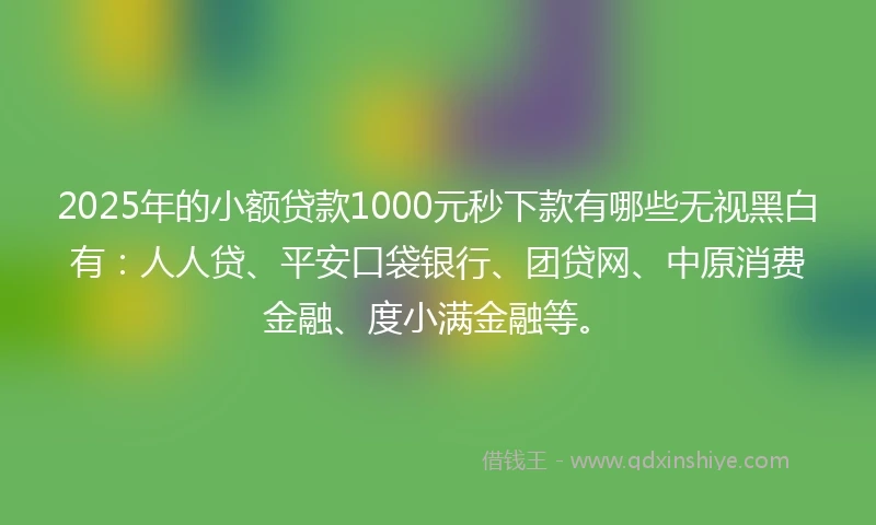 2025年的小额贷款1000元秒下款有哪些无视黑白有：人人贷、平安口袋银行、团贷网、中原消费金融、度小满金融等。